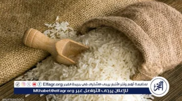 أسعار الأرز البني والأبيض في أسواق المنيا اليوم الأربعاء 22 أكتوبر 2025 وأثرها على المستهلكين